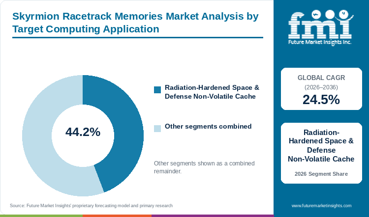 Skyrmion Racetrack Memories Market Analysis by Target Computing Application