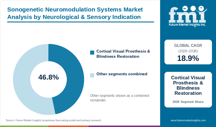 Sonogenetic Neuromodulation Systems Market Analysis by Neurological & Sensory Indication Sonogenetic Neuromodulation Systems Market Analysis by Neurological & Sensory Indication