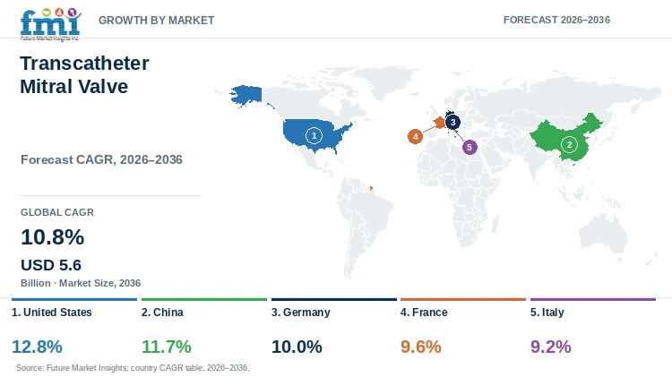 Transcatheter Mitral Valve Market Growth by Market Transcatheter Mitral Valve Market Growth by Market