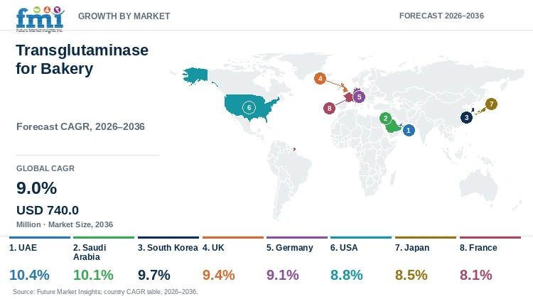 Transglutaminase for Bakery Market Growth by Market Transglutaminase for Bakery Market Growth by Market