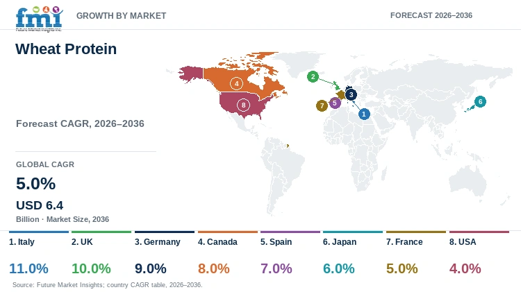 Wheat Protein Market Growth by Market Wheat Protein Market Growth by Market