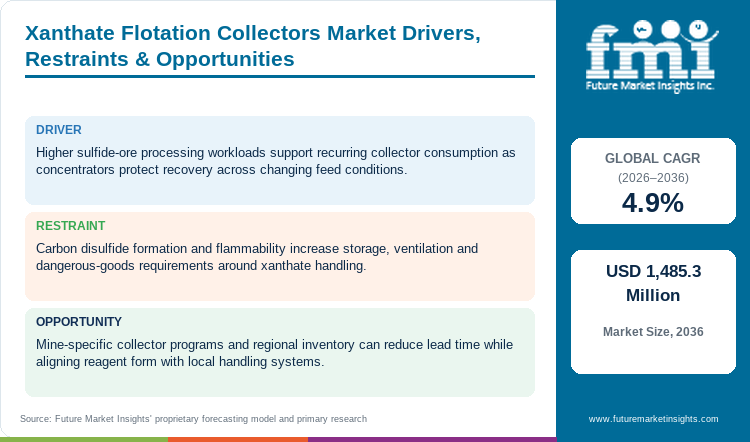 Xanthate Flotation Collectors Market Drivers, Restraints & Opportunities