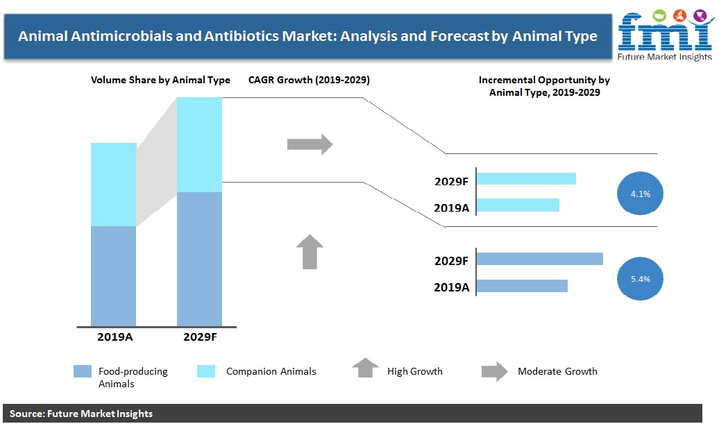 Animal Antimicrobials and Antibiotics Market: Analysis and Forecast by Animal Type Animal Antimicrobials and Antibiotics Market: Analysis and Forecast by Animal Type
