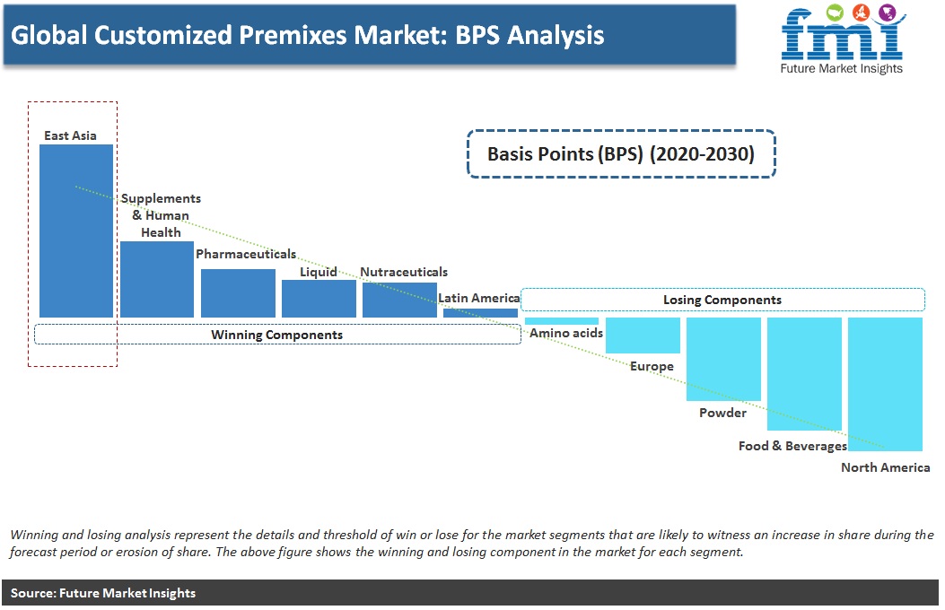 Global Customized Premixes Market: BPS Analysis Global Customized Premixes Market: BPS Analysis