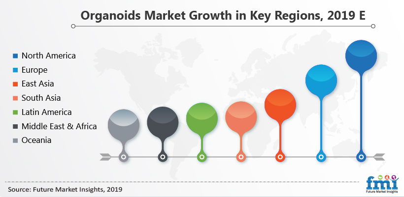 Organoids Market Organoids Market