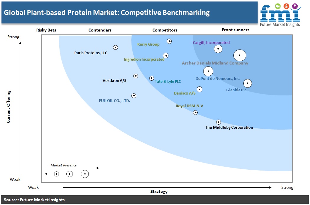 Global Plant-Based Protein Market: Competitive Benchmarking