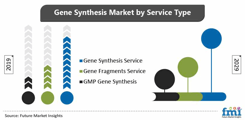 Gene Synthesis Market by Service Type