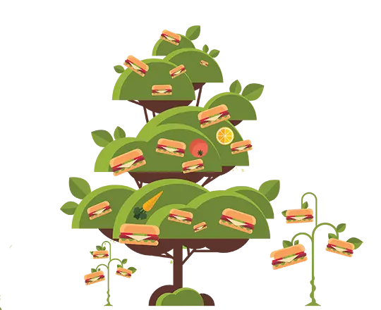 The Plant Based Revolution