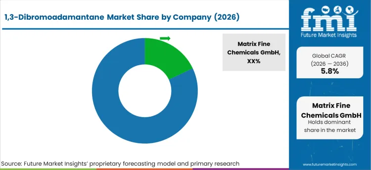 1,3 Dibromoadamantane Market Analysis By Company 1,3 Dibromoadamantane Market Analysis By Company