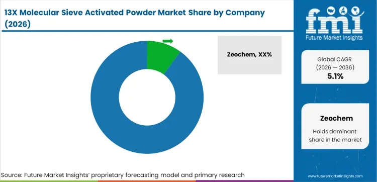 13x Molecular Sieve Activated Powder Market Analysis By Company
