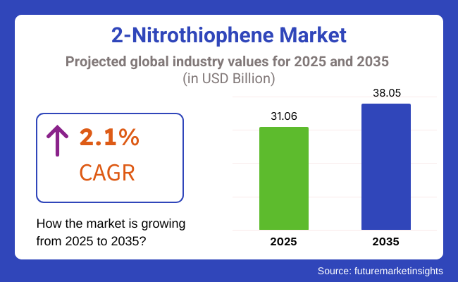 2 Nitrothiophene Market