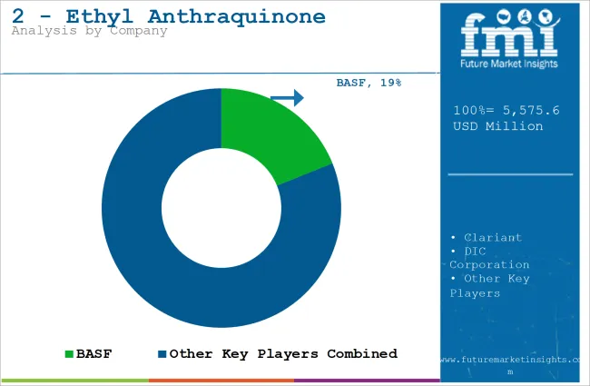 2 Ethyl Anthraquinone Market Analysis By Company