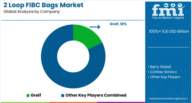 2 Loop Fibc Bags Market Analysis By Company