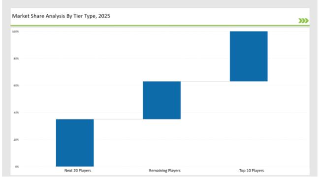 2 Loop Fibc Bags Market Share Analysis By Tier Type 2025