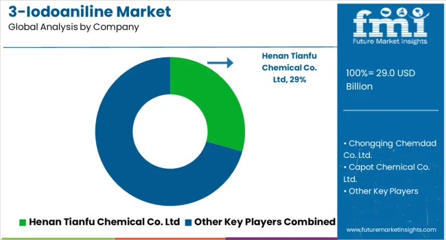 3 Iodoaniline Market Analysis By Company