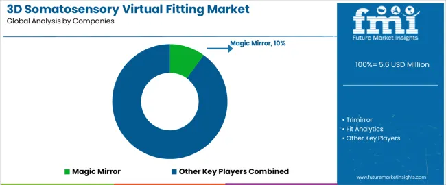3d Somatosensory Virtual Fitting Market Analysis By Company