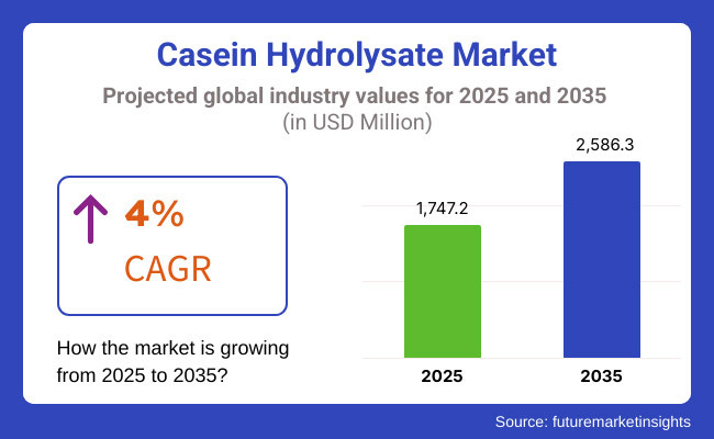 Casein Hydrolysate Market