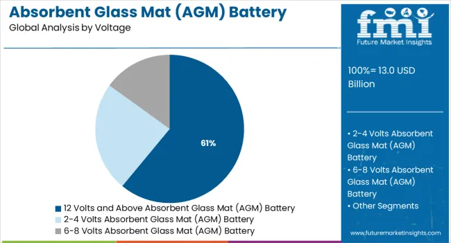 Absorbent Glass Mat (agm) Battery Market Analysis By Voltage