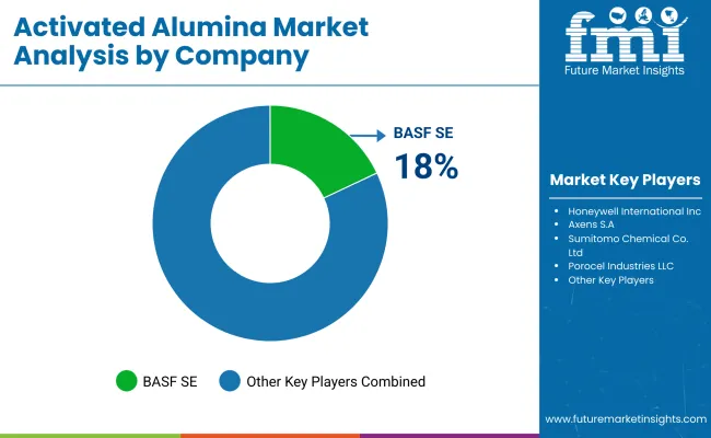 Activated Alumina Market By Company