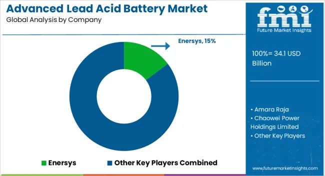 Advanced Lead Acid Battery Market Analysis By Company Advanced Lead Acid Battery Market Analysis By Company