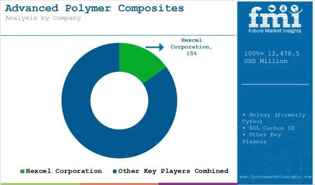 Advanced Polymer Composites Market Analysis By Company