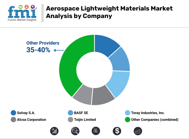 Aerospace Lightweight Materials Market Analysis By Company
