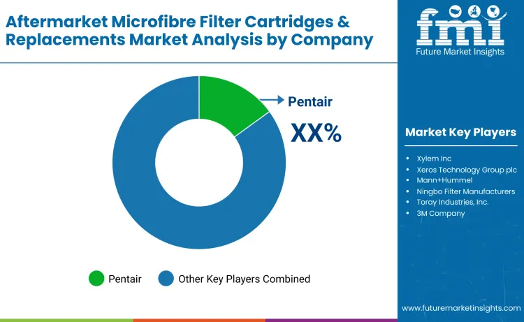 Aftermarket Microfibre Filter Cartridges & Replacements Market Analysis By Company