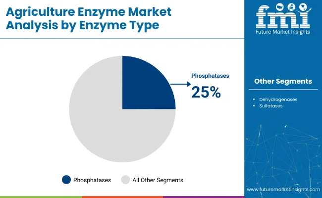Agricultural Enzymes Market Analysis By Enzyme Type