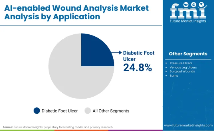 Ai Enabled Wound Analysis Market By Application