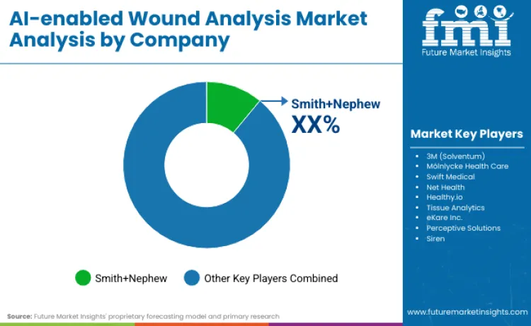 Ai Enabled Wound Analysis Market By Company