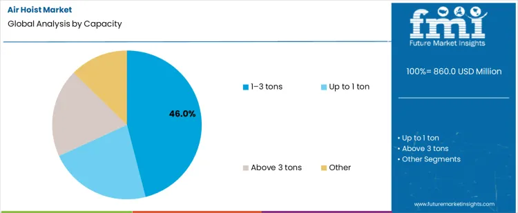 Air Hoist Market Analysis By Capacity