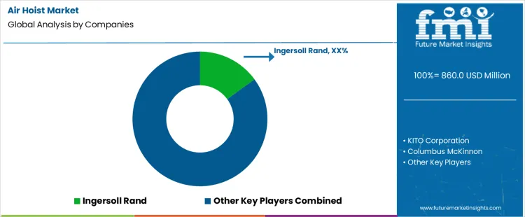 Air Hoist Market Analysis By Company
