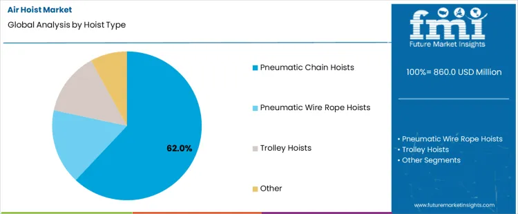 Air Hoist Market Analysis By Hoist Type