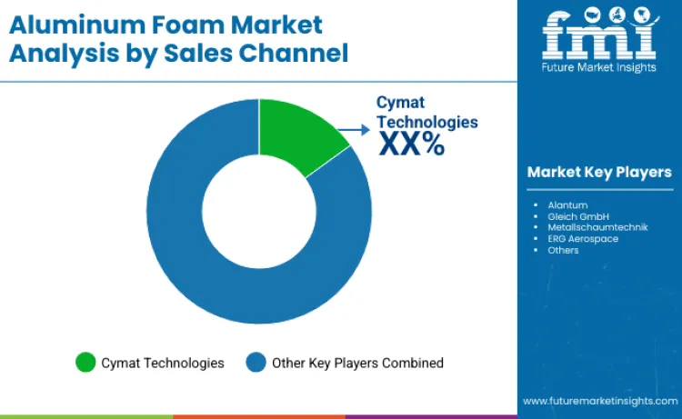 Aluminum Foam Market By Company
