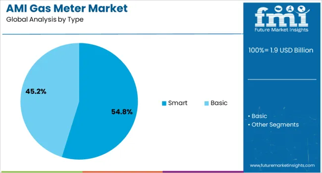 Ami Gas Meter Market Analysis By Type