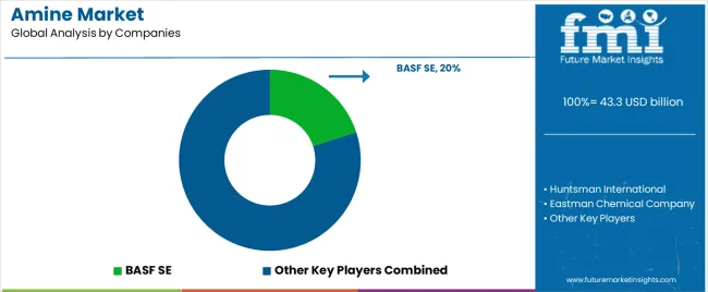 Amine Market Analysis By Company