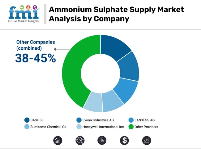 Ammonium Sulphate Supply Market Analysis By Company