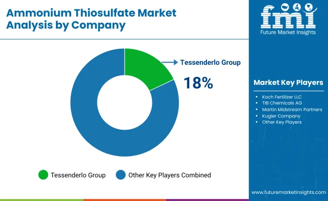 Ammonium Thiosulfate Market By Company