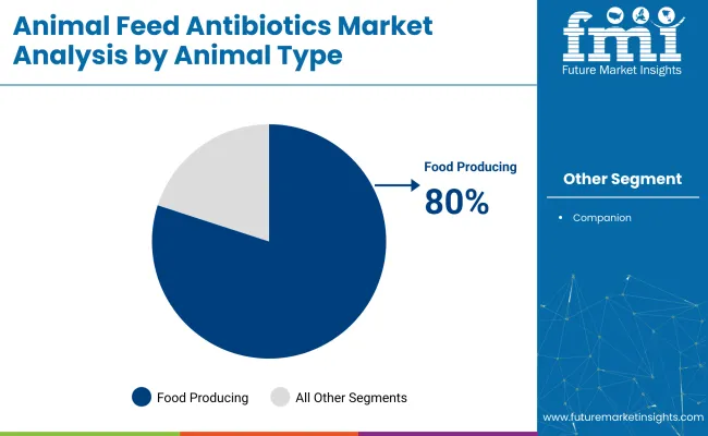 Animal Feed Antibiotics Market Analysis By Animal Type