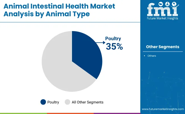 Animal Intestinal Health Market Analysis By Animal Type