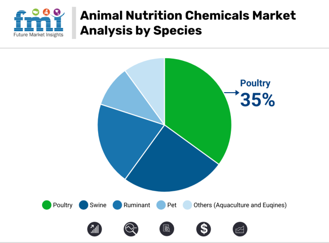 Animal Nutrition Chemicals Market Analysis By Species