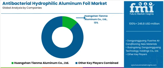 Antibacterial Hydrophilic Aluminum Foil Market Analysis By Company