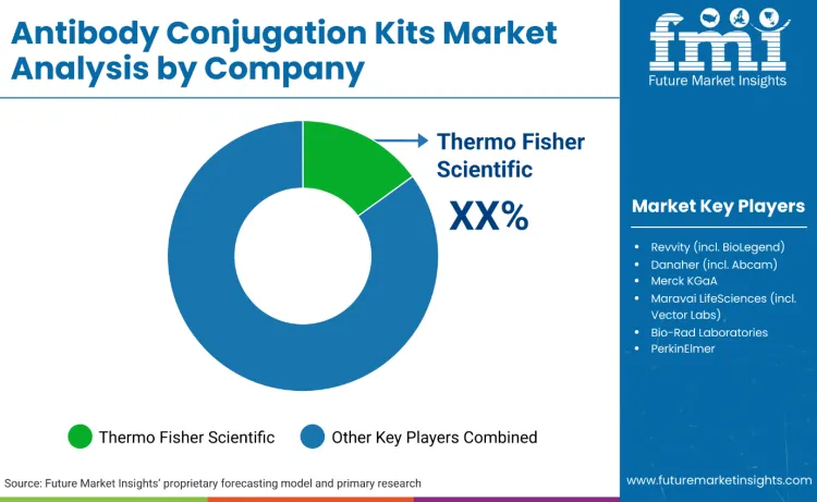 Antibody Conjugation Kits Market By Company