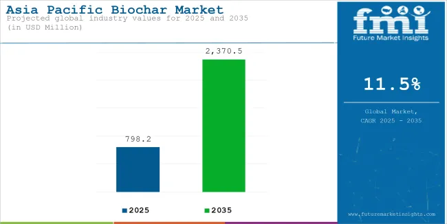 Asia Pacific Biochar Market Industry Value Analysis