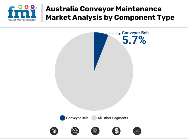 Australia Conveyor Maintenance Market Analysis By Component Type