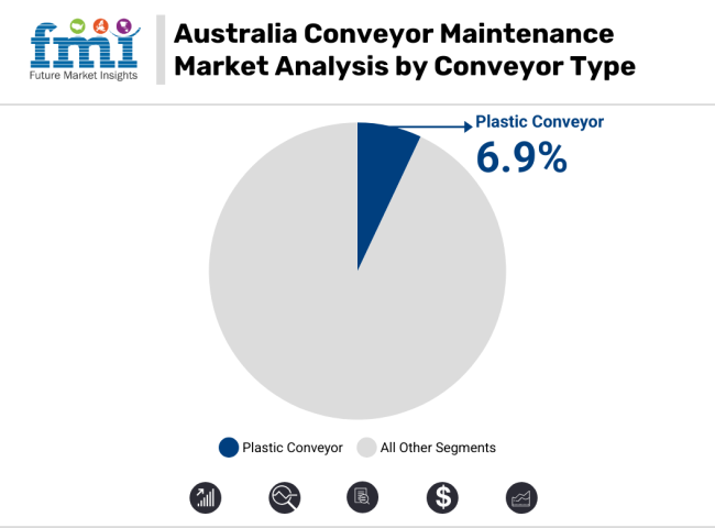 Australia Conveyor Maintenance Market Analysis By Conveyor Type