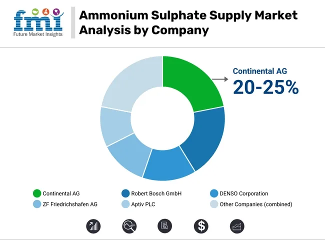 Automotive ABS Motor Market Analysis By Companies