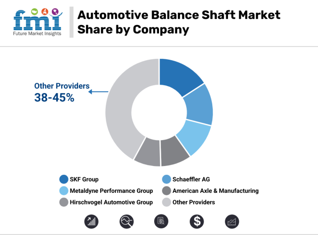 Automotive Balance Shaft Market Share By Company