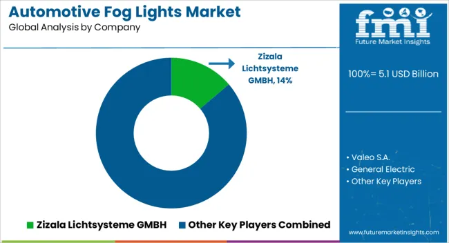 Automotive Fog Lights Market Analysis By Company