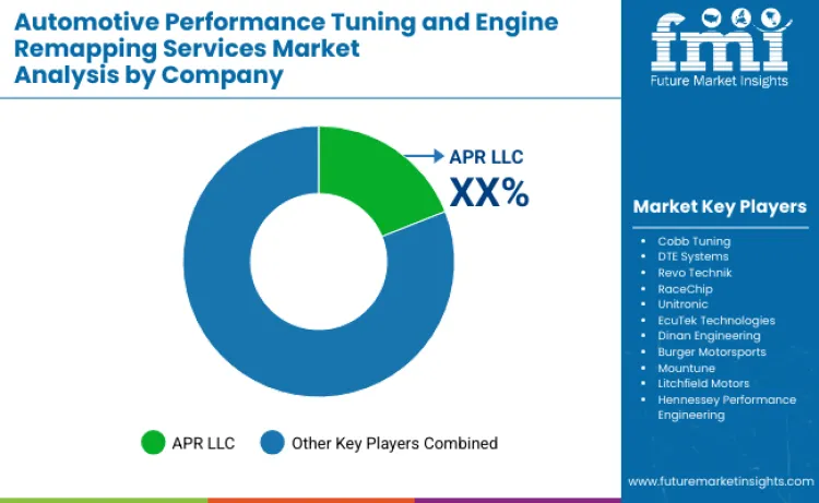 Automotive Performance Tuning And Engine Remapping Services Market By Company